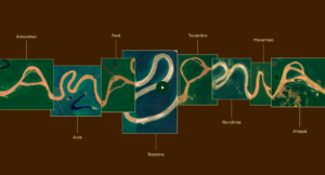 amazônia